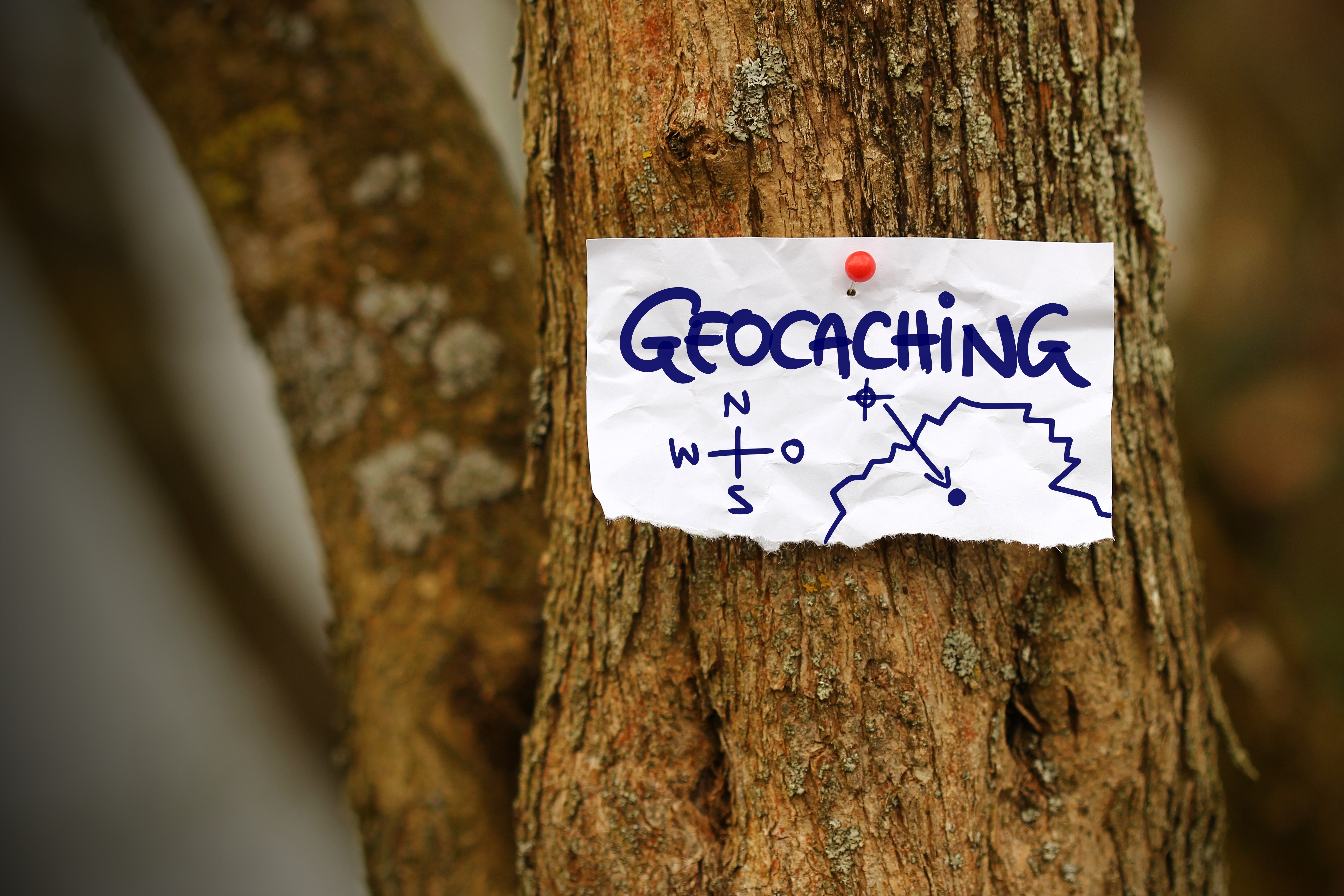 hinweis-baum-geocaching.jpeg
