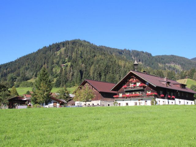 Aignerhof in Flachau im Sommer