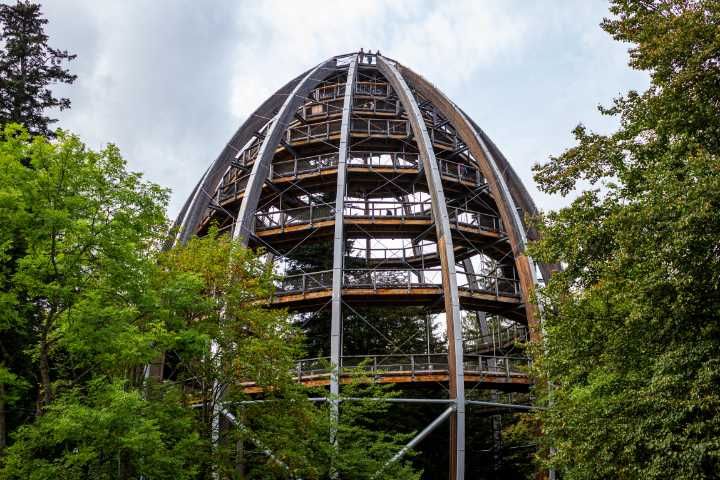 Der Baumturm in Neuschönau