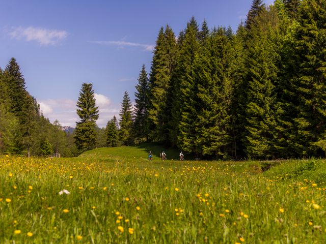 Hotel-Pension Wildschütz