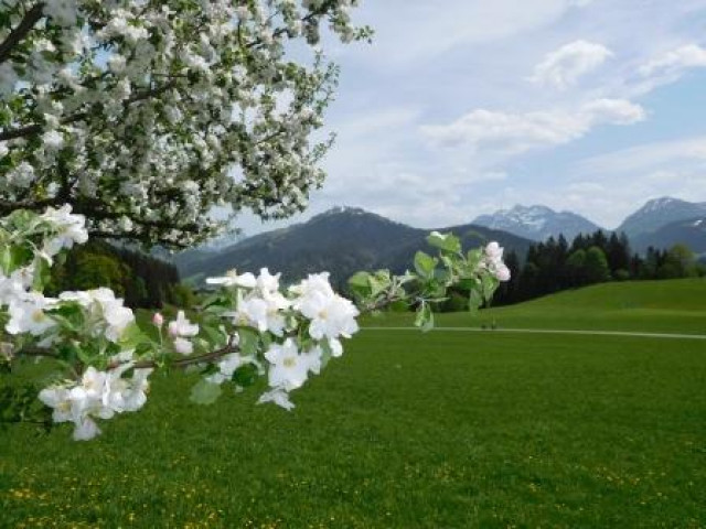 Ferienwohnung Obwallhof