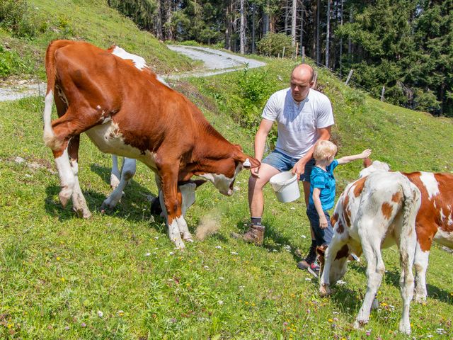 Familienbauernhof Griesbichlhof im Grossarltal