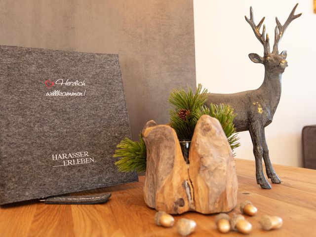 Ferienwohnungen Harasser in Fieberbrunn Tirol