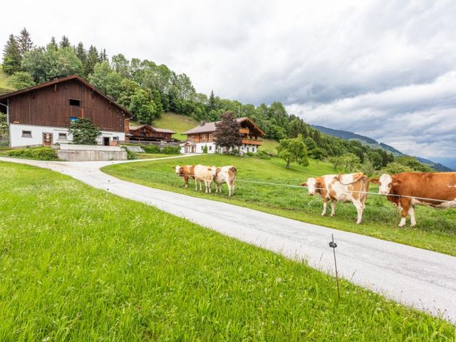 Widholzhof - 3D Rundgang