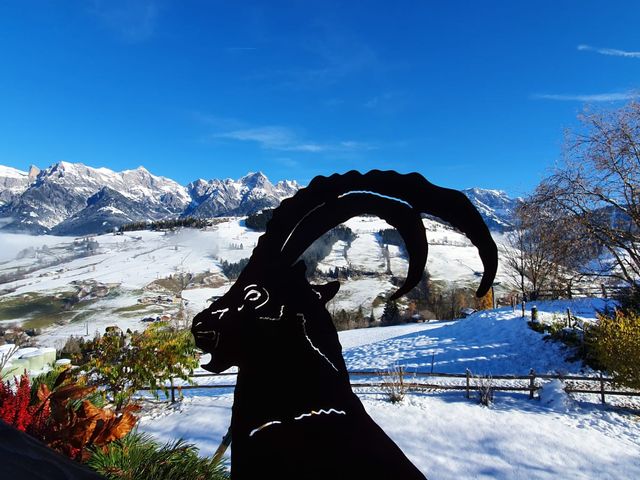 Ferienwohnungen Berg Sait