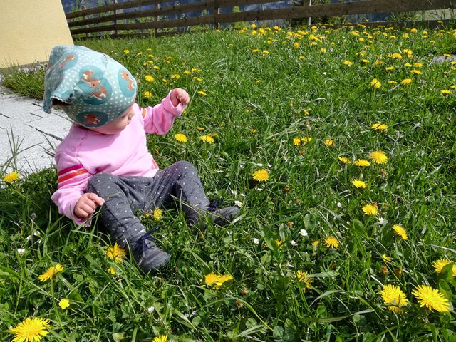 Bergbauernhof Neuhaus in Hüttschlag