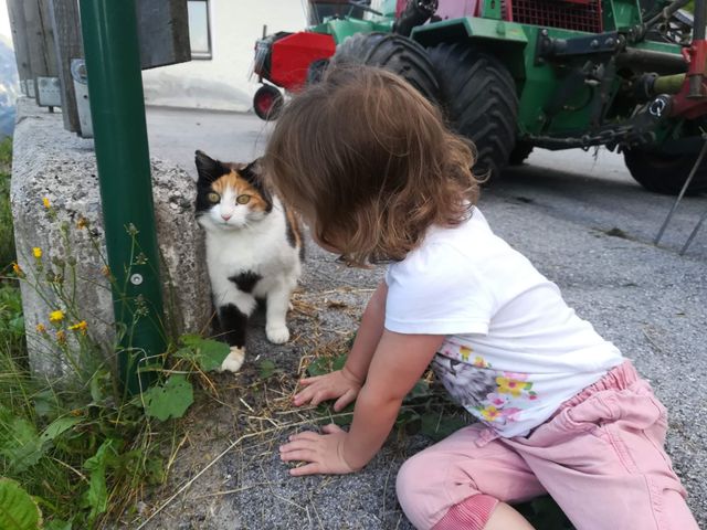 Bergbauernhof Neuhaus in Hüttschlag