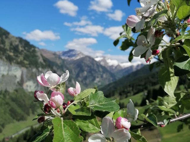 Bergbauernhof Neuhaus in Hüttschlag