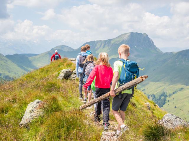 Sportchalet Viehhofen Ferienhaus