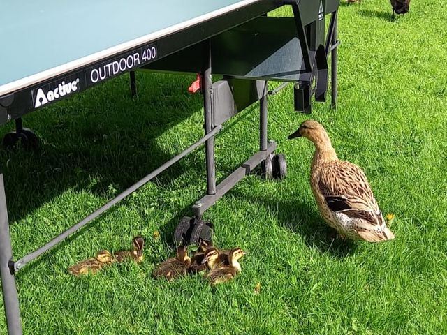 Ferienwohnung "Barbara" Neuhaus